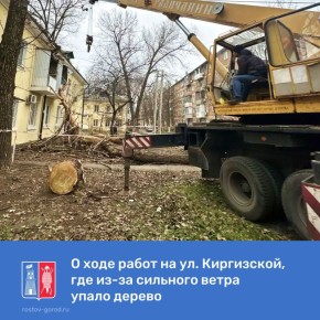   8       . , 14.       ,     