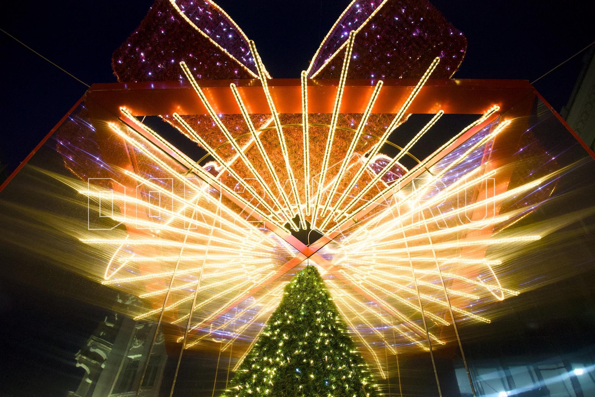 В Ростове пройдет конкурс на лучшее новогоднее дерево