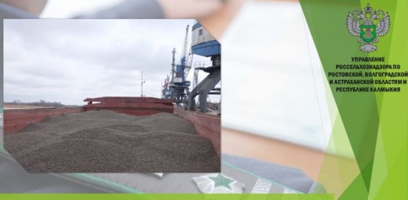 С территории Ростовской области экспортировано в Турцию 4,7 тыс. тонн подсолнечного шрота