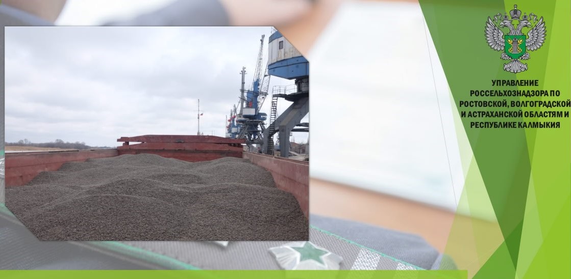 С территории Ростовской области экспортировано в Турцию 4,7 тыс. тонн подсолнечного шрота