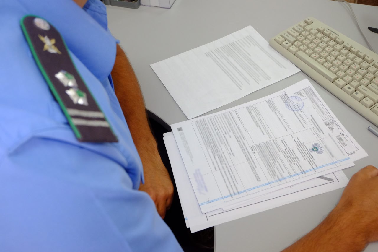 С территории Ростовской области с начала года экспортировано более 860 тонн подсолнечника