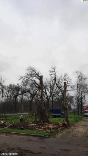 В Батайске приступили к валке и обрезке деревьев