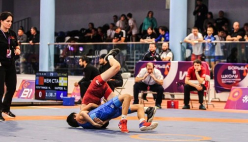 Ростовчане заняли призовые места в финале Всероссийского фестиваля «Борьба в школу»