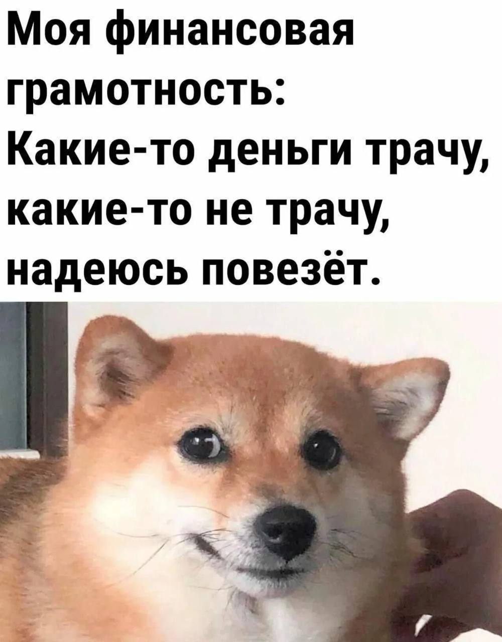 Миллиардные долги: сколько ростовчане недоплатили за коммуналку