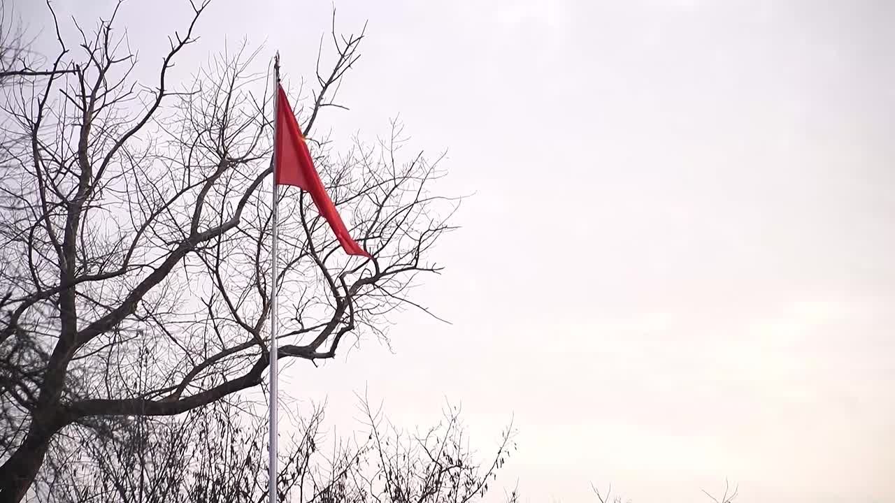 Кумженский остров: от плацдарма Победы к Вечному огню памяти