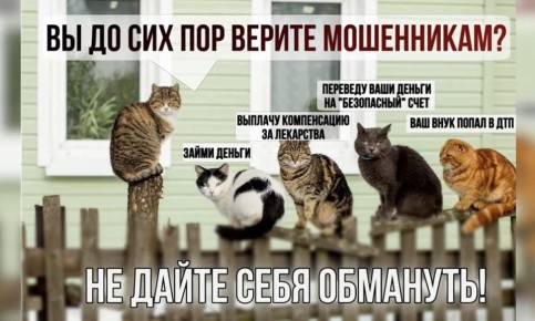 Новый день — новая мошенническая схема