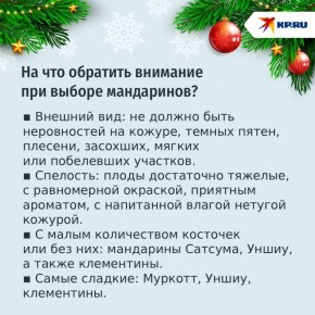 Вкус праздника: как выбрать качественные мандарины