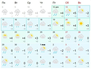 Синоптики рассказали о погоде в новогодние дни Спойлер: зимней сказки не будет