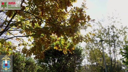 Сообщить о фактах распространения наркотиков можно по телефону горячих линий: