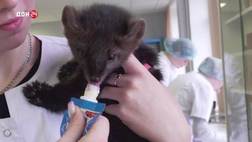 80 ��� ������� ��������������: �������������� ������� ������������ ���������� ������� ���� ��������