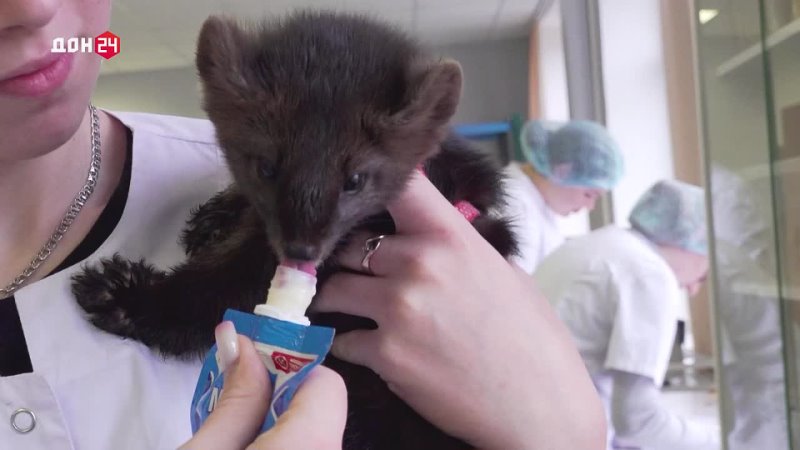 80 лет готовят профессионалов: Новочеркасский колледж промышленных технологий отметил день рождения