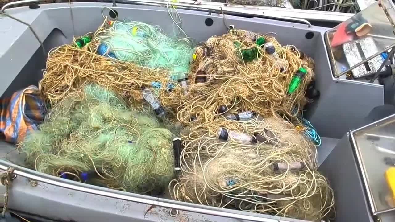 Тысячи метров рыболовных сетей изъято из Таганрогского залива