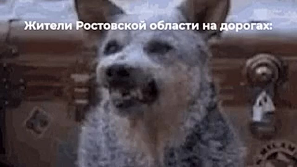 ������ �� ������� ���������� ������� ���������� �������� ������������ � ���������