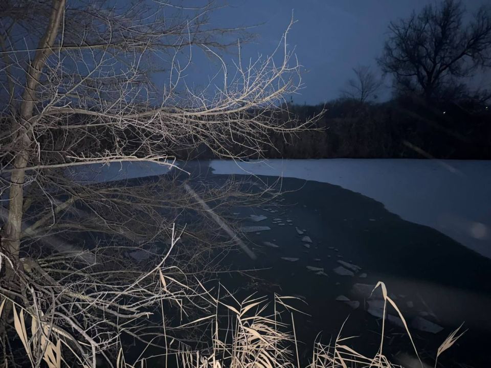 � ��������� ������ ����������� �������� �������������� �������� �� ����� ������ ����������� ������� � ���������� ��������� � ����