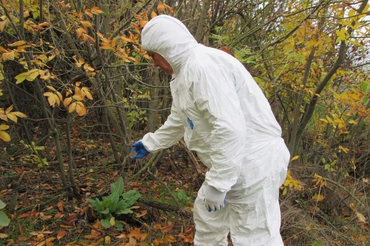 В Ростовской области завершена раскладка вакцины от бешенства для плотоядных животных