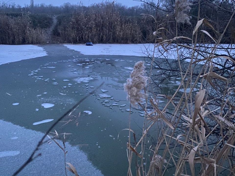 ������ �������� �� ����