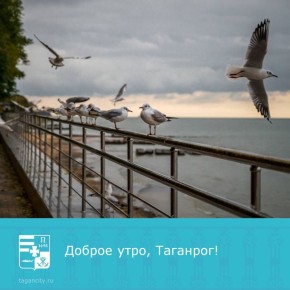 Хорошего дня!. Фото: Ирина Васильева