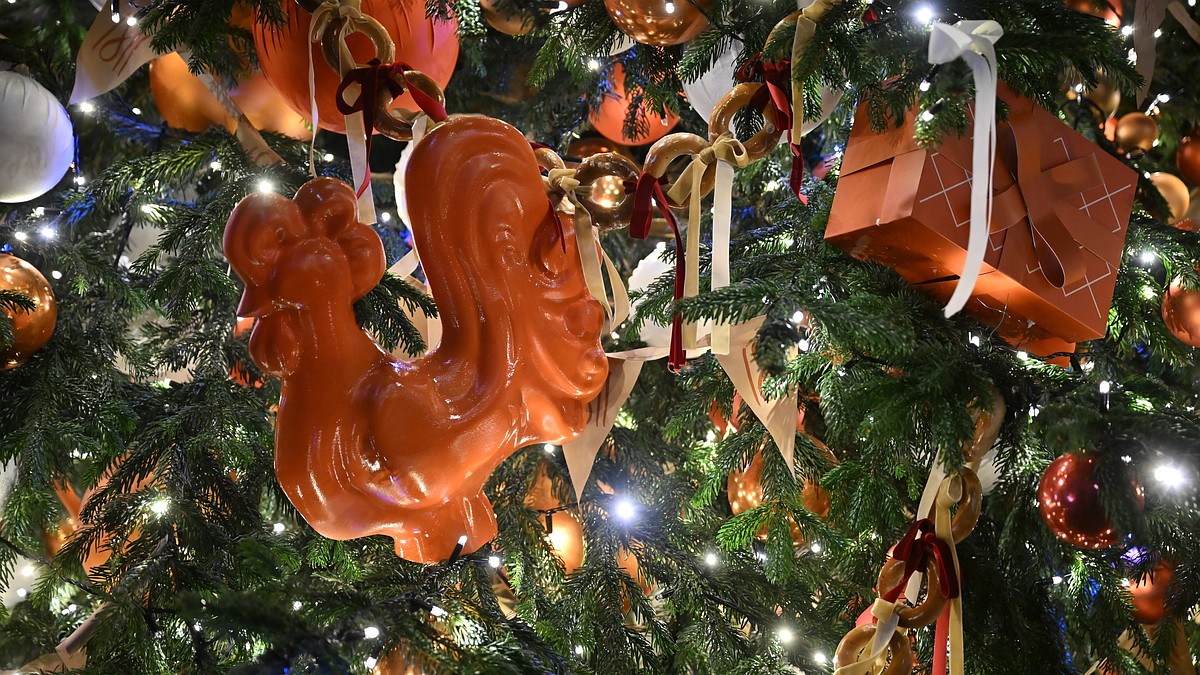 В Крыму началась продажа новогодних елок: как выбрать и не нарушить закон