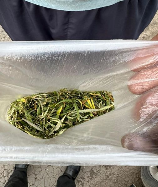 � �������� ������ ����������� �������� ���������� ������ ����������