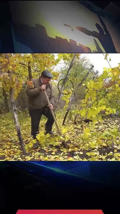 ��� ��������� ������ �������� �� ����?