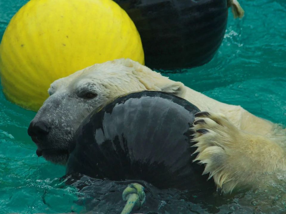 ���� �� ������ ����� ������� � ������ ��� �������, �������� �������� ������������ � �������� ��������