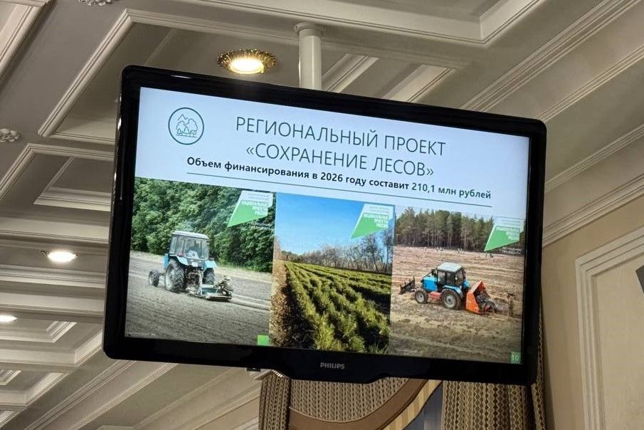 Подведены итоги первого года реализации нацпроекта «Экологическое благополучие» на Дону