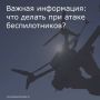 Важная информация: что делать при атаке беспилотников?