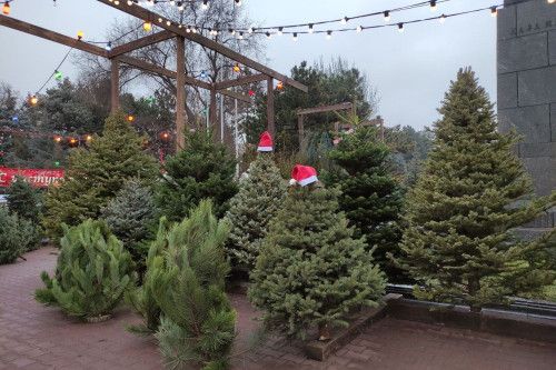 � ���������� ������� ����� ������� 420 �������� �������