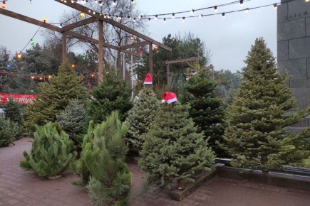 � ���������� ������� �������� ������� ������