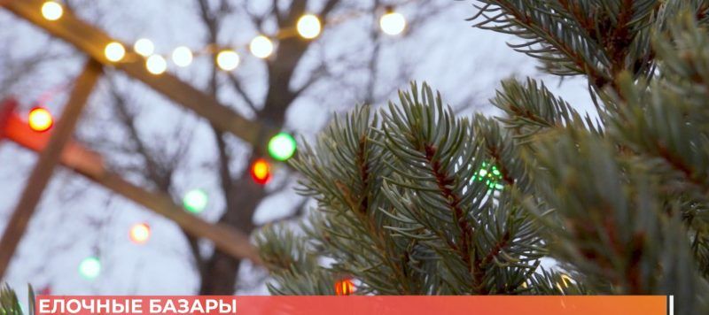 ���������� ������� ������: ���� �� �����, ����, �����