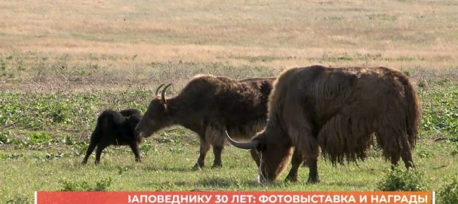 ������������ ����������� 30 ���: ������������ � �������