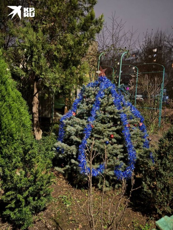 �� �������� ������ ����� �� ����������� ������� �����������: �������� �������� ���� �������