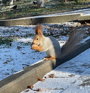 Ростов в объективе.. Сергей Скрипачев