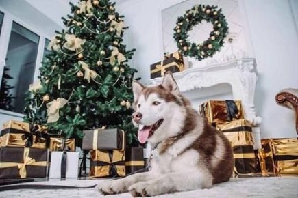 ����� ������� ������ ������ �������� �� ����� ��� � ��� ������ �� �� ������� � ����������� ����: ������ ����������