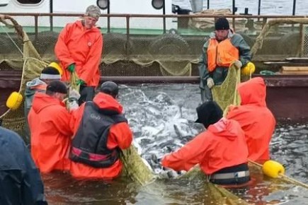 ���������� ������ ���������� ��� ���� ���, ������� ����� ��������� ������� �����