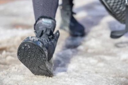 � ���������� ������� ����� ����� ����� ��������� ������ �����������