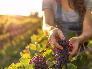 ������ �������� ��������� ����� ����� ��������� ������������ ����������