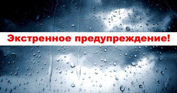 ��� "���������� ������ �� ��" �������������!