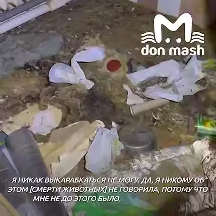 ������� ��������� ��������� ���� ������ ��������� ������ "������� ������" ������� ���������