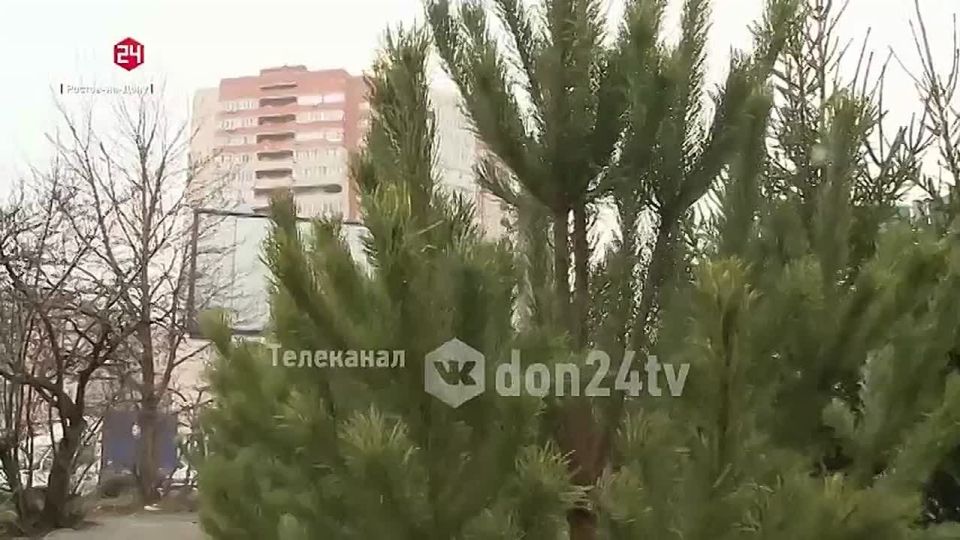 �������� �������� � �����: � ������� �������� ������ 24 ����������� ������� ������