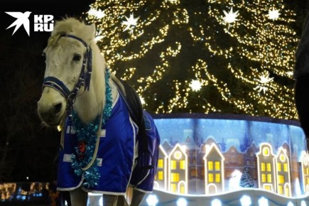 ���������� ��������� ��������� ����� ����� ��������