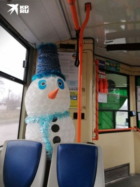 ���� ���������� �������� ���������� ���������� ������������ �����������