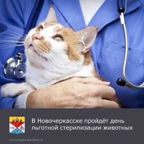 � �������������, ��� � �� ���� ���������� �������, ��������� ����� �� �������� ������������ ��������-�����������