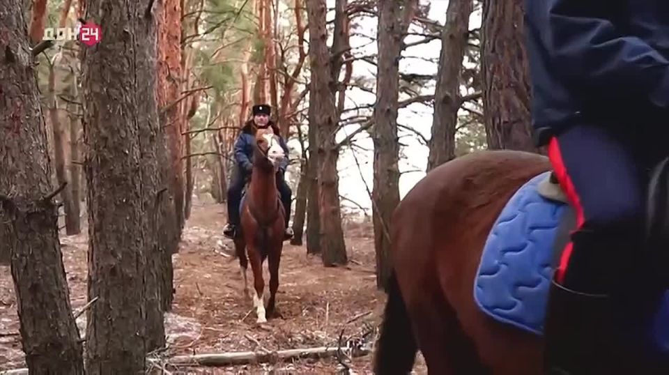 ���������� � �������� ������������, ������ ����������� ������ � ������ ������: �������� ����� ������ ����� ������