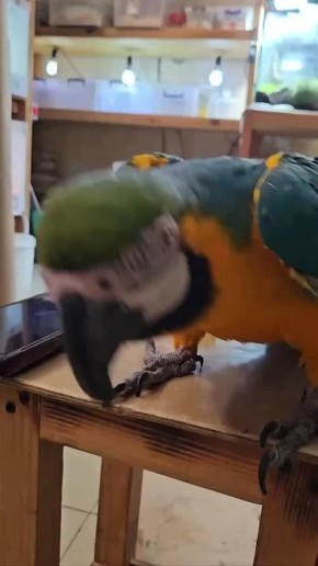 Заряжаемся праздничным настроением!