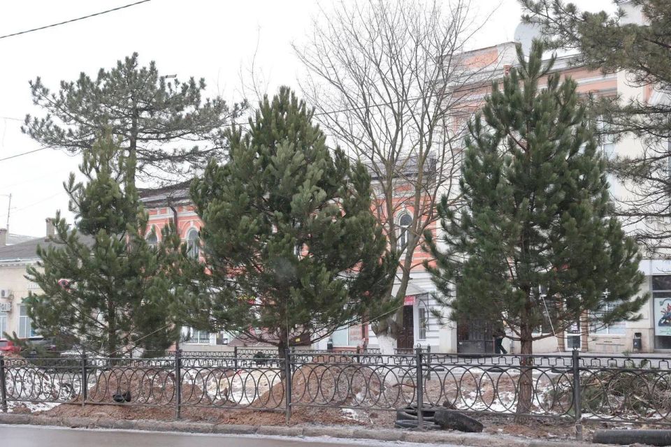 ���� �������: ��� ������� � �������������