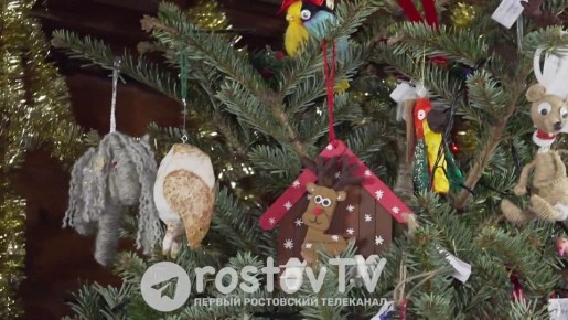 Резиденция Деда Мороза открылась в ростовском зоопарке