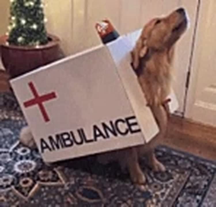 ��� �������� � ������� �� ����� ���, ���������� ��������� ������ �������