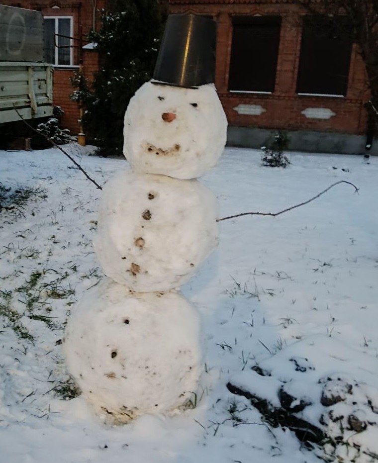Снеговики появились на улицах Ростова