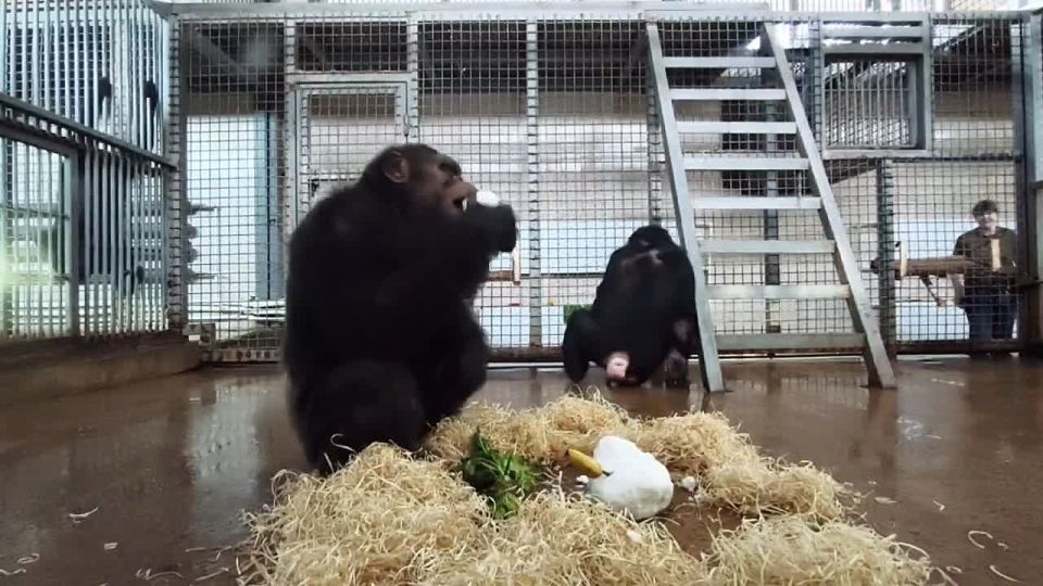 �������� �������� �� ���������� ��������� � ���������� ��������